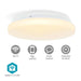 SmartLife plafondlamp met Wi-Fi, functies zoals app-bediening, spraakbesturing en instelbare timers.